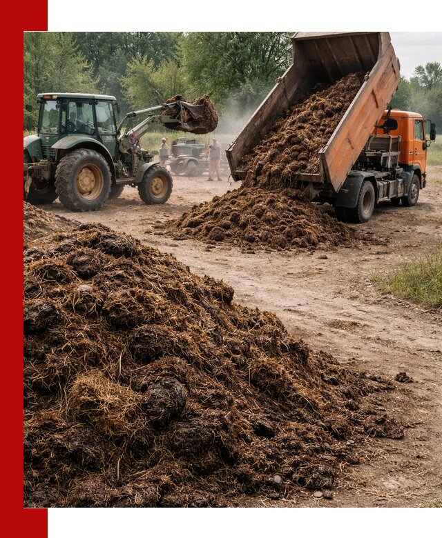 Доставка навоза самосвалами в Алапаевске для сельхозпотребностей
